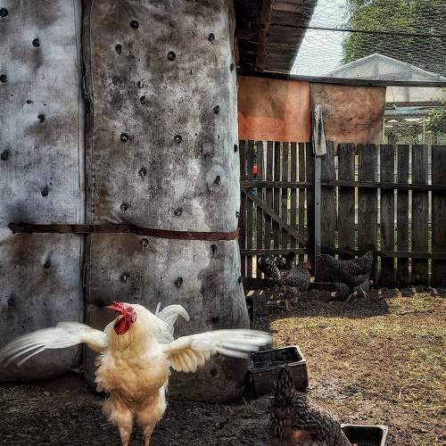 Photo #9759660