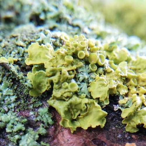Photo #9759728