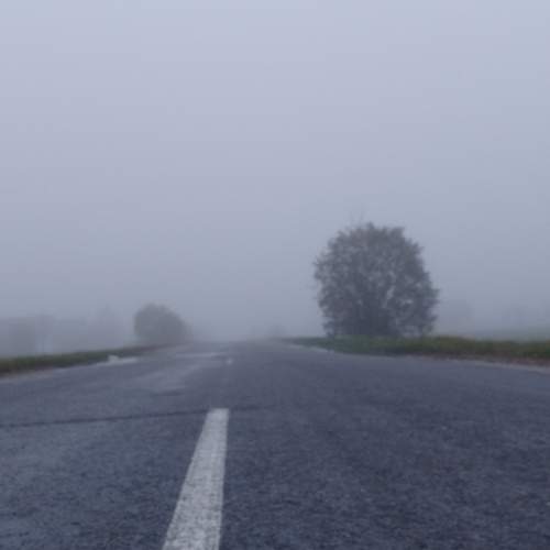 Photo #9760893