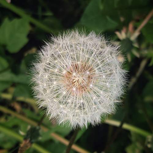 Photo #9760992