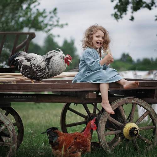 Фотография #9761306