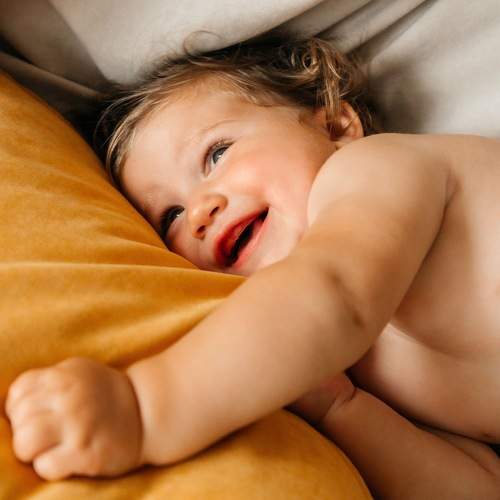 Photo #9761392