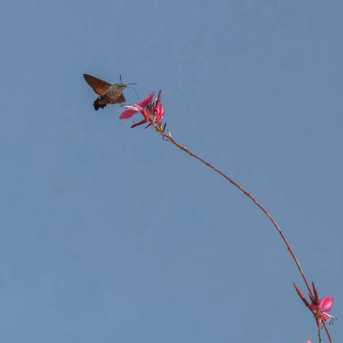 Photo #9761459