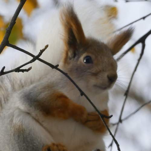 Photo #9761594