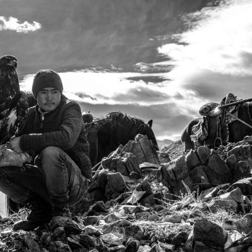 Photo #9762548