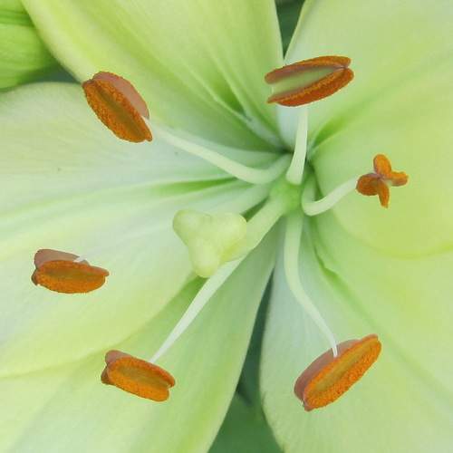 Photo #9762623
