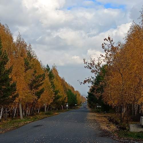 Осень в саду