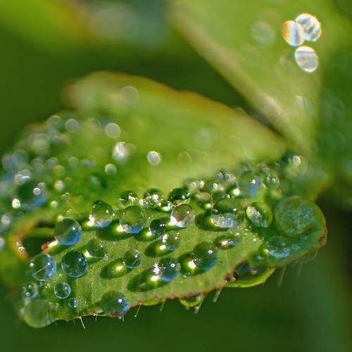 Photo #9763186