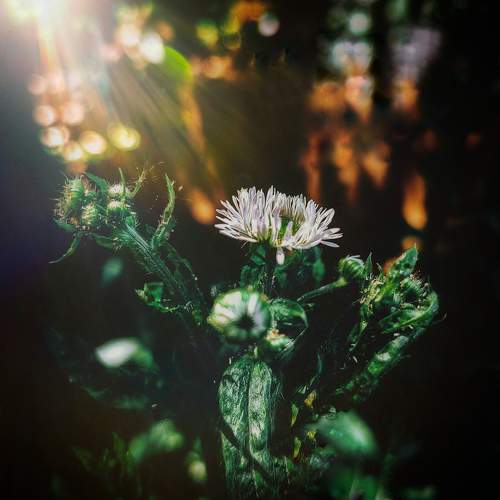 Photo #9763332