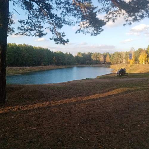 Photo #9763520