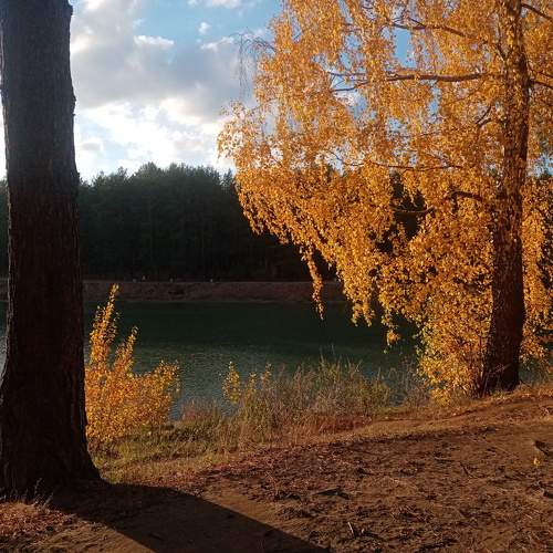 Photo #9763521