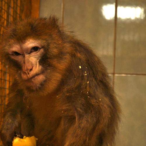 Photo #9763591