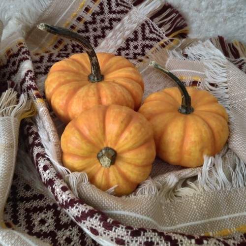 Photo #9763694