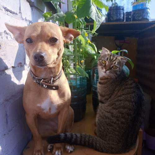 Photo #9764008