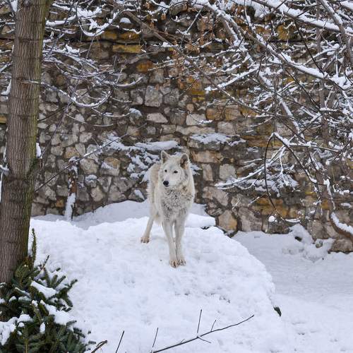Photo #9764280