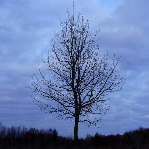 Photo #9764547
