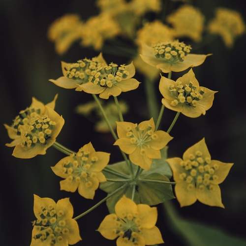 Photo #9764553