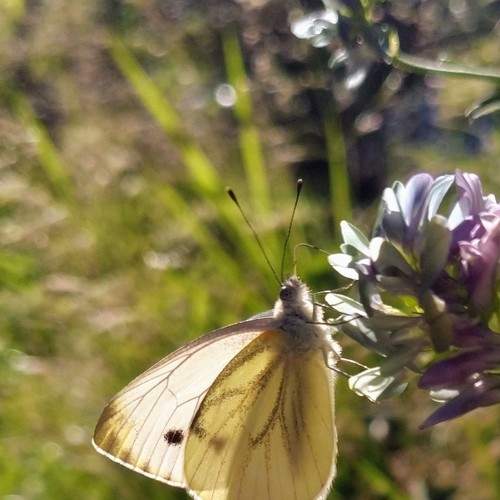 Photo #9764622