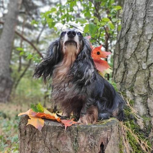 Photo #9764881