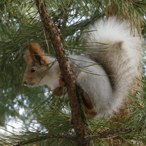 Photo #9765245