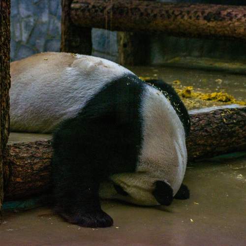 Photo #9765448