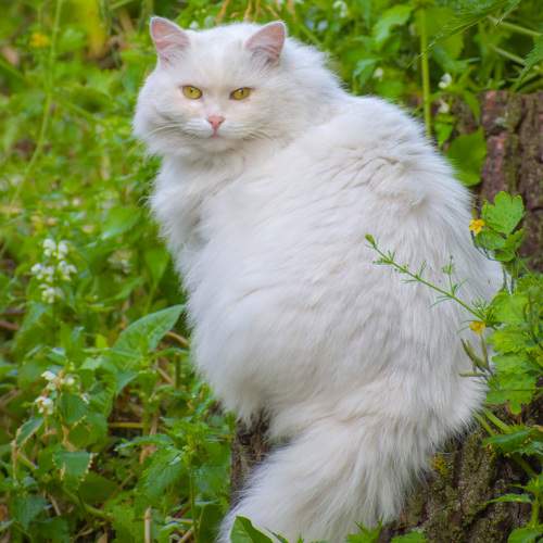 Photo #9765489