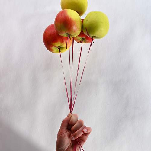 Photo #9765574