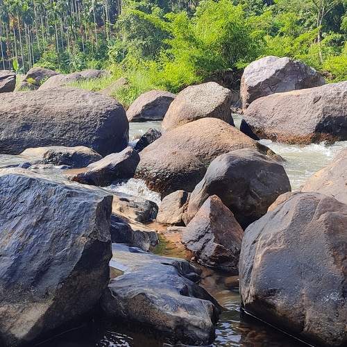 Photo #9765748
