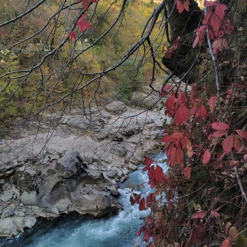 Photo #9765843