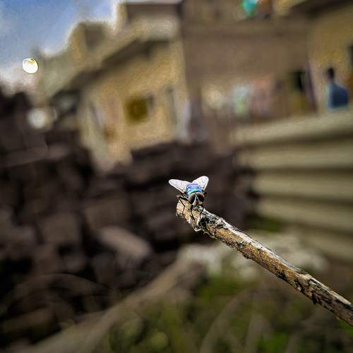Photo #9765912