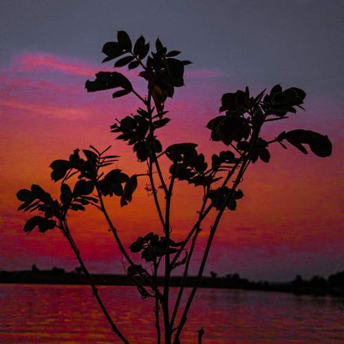 Photo #9765913
