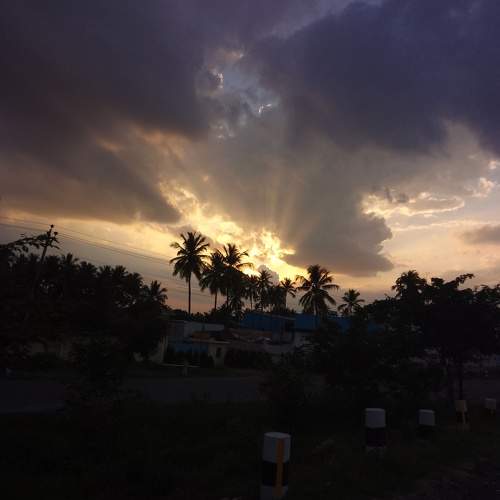 Photo #9766043