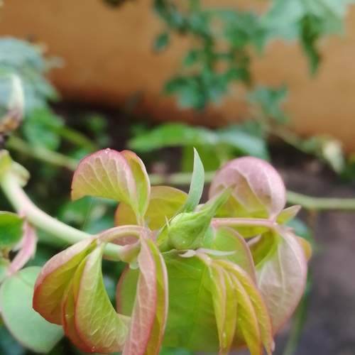 Photo #9766137
