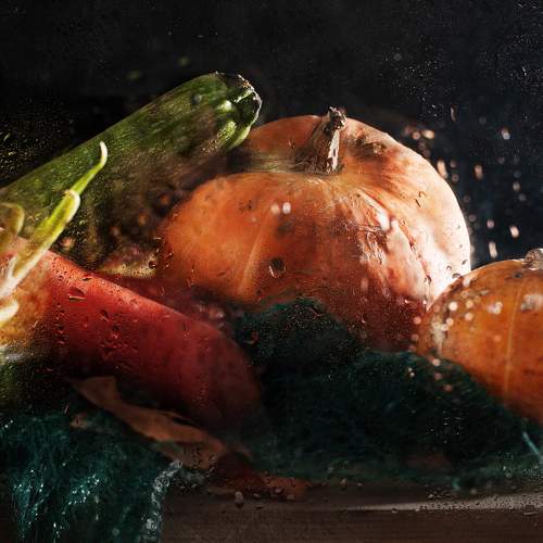 Photo #9766240