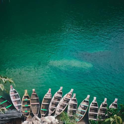 Photo #9766390