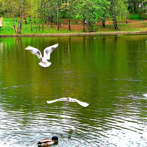 Photo #9766887