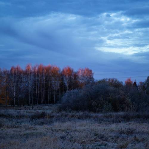 Photo #9766896
