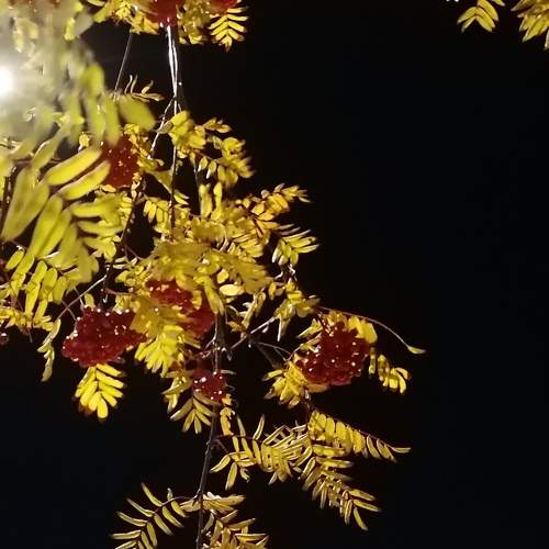 Photo #9767050