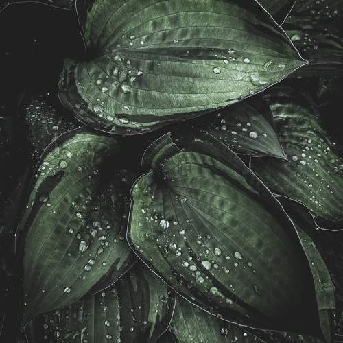 Photo #9767121
