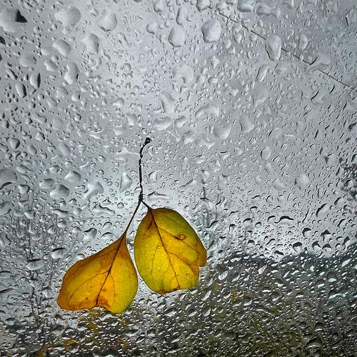 Photo #9767123