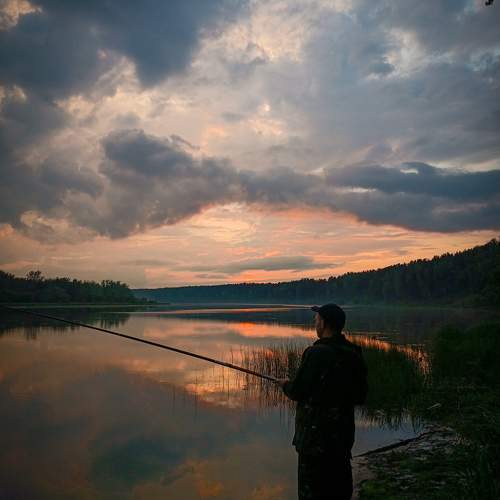 Photo #9767296