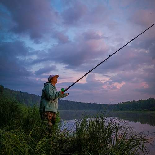 Photo #9767732