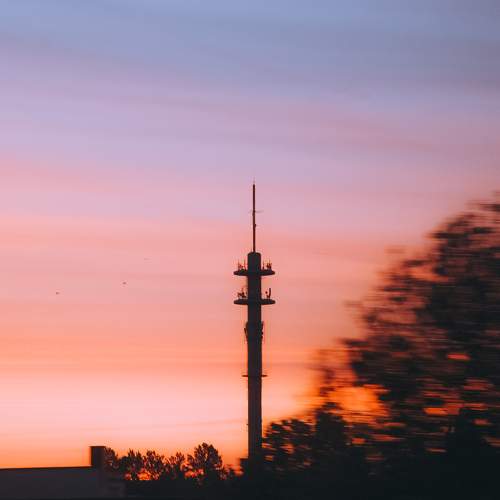 Photo #9767739