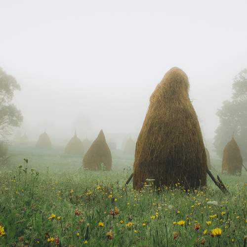 Photo #9767740