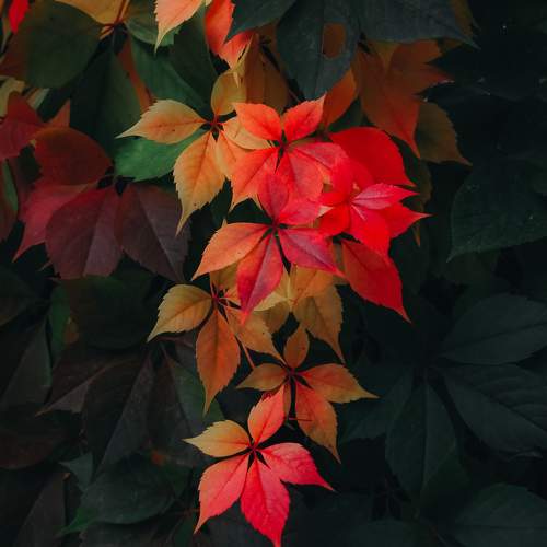 Photo #9767741