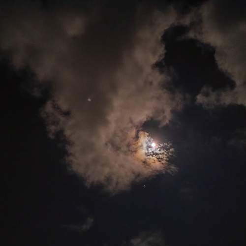 Photo #9767778