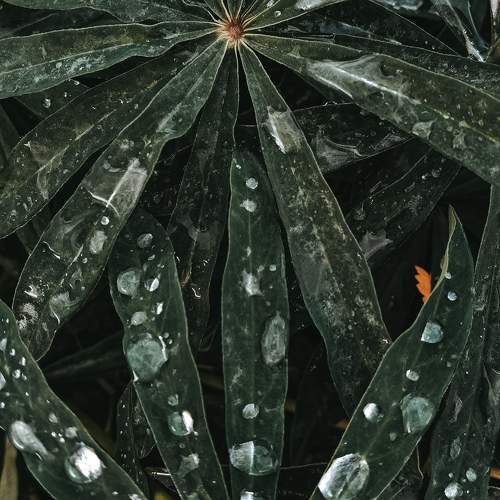 Photo #9767907
