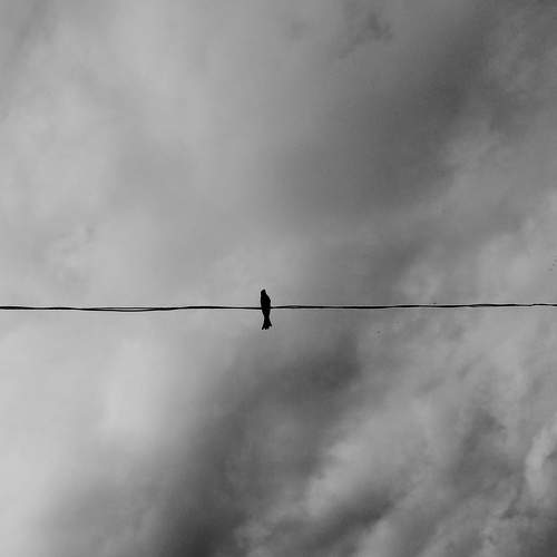 Photo #9767941