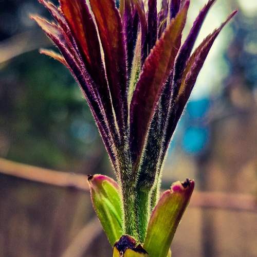 Photo #9767964
