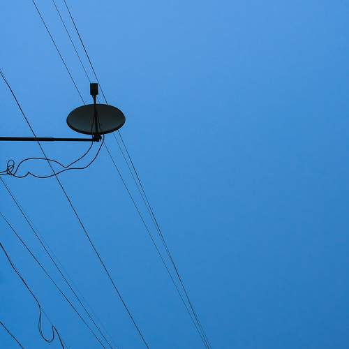 Photo #9768245